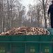 Торцовка дуба купити Чернігів